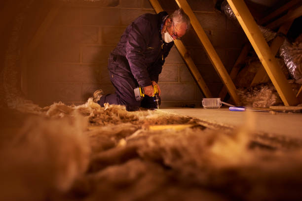 Best Insulation Maintenance and Repair in Manning, SC