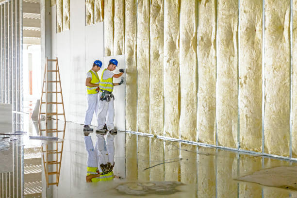 Best DIY Insulation Kits and Guidance in Manning, SC